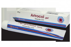 Артрокол гель 2.5% 45 г 1 шт.